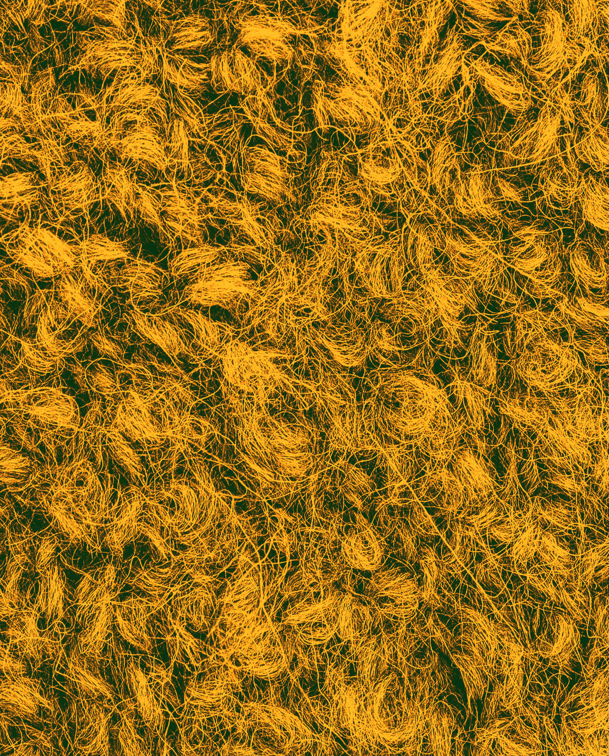 Image de la variation