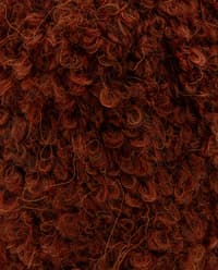 NOISETTE