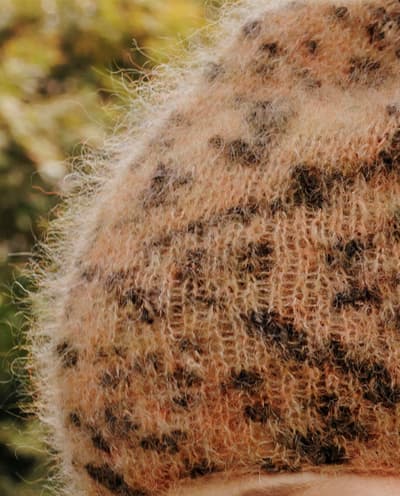 Image de la variation