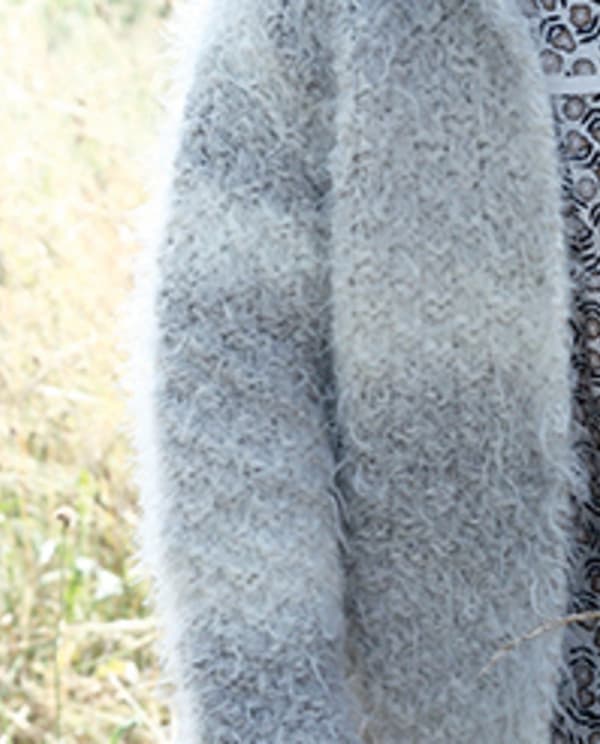 Image de la variation