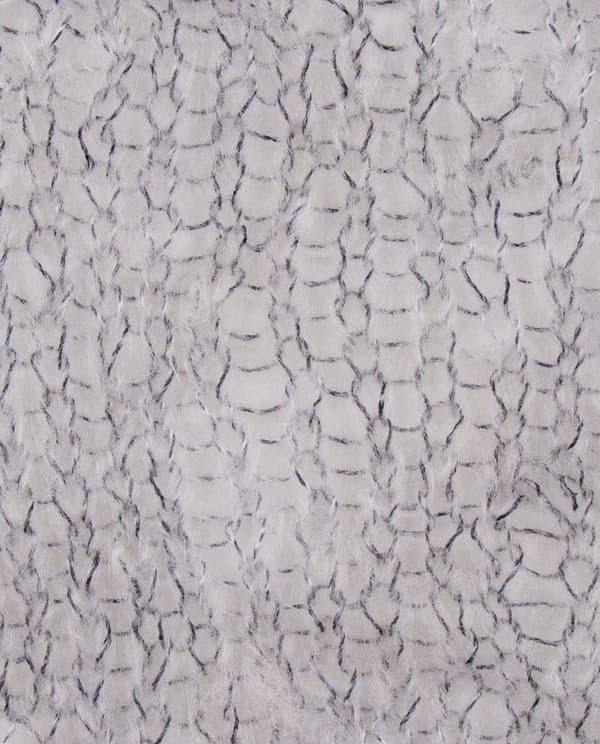 Image de la variation