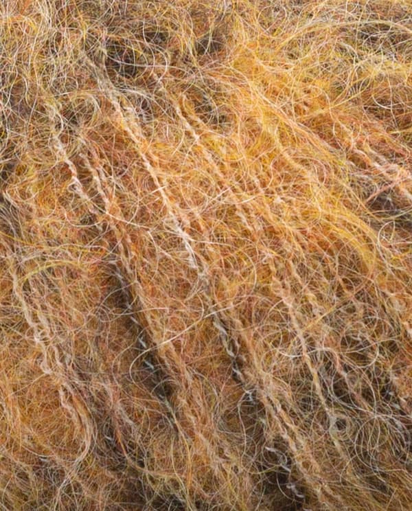 Image de la variation