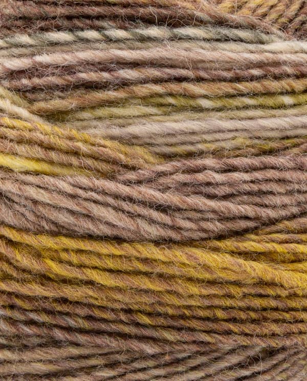 Image de la variation