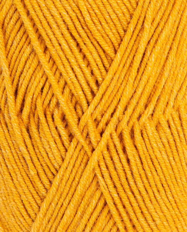 Image de la variation