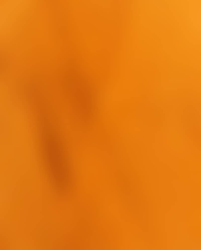 SPICY ORANGE