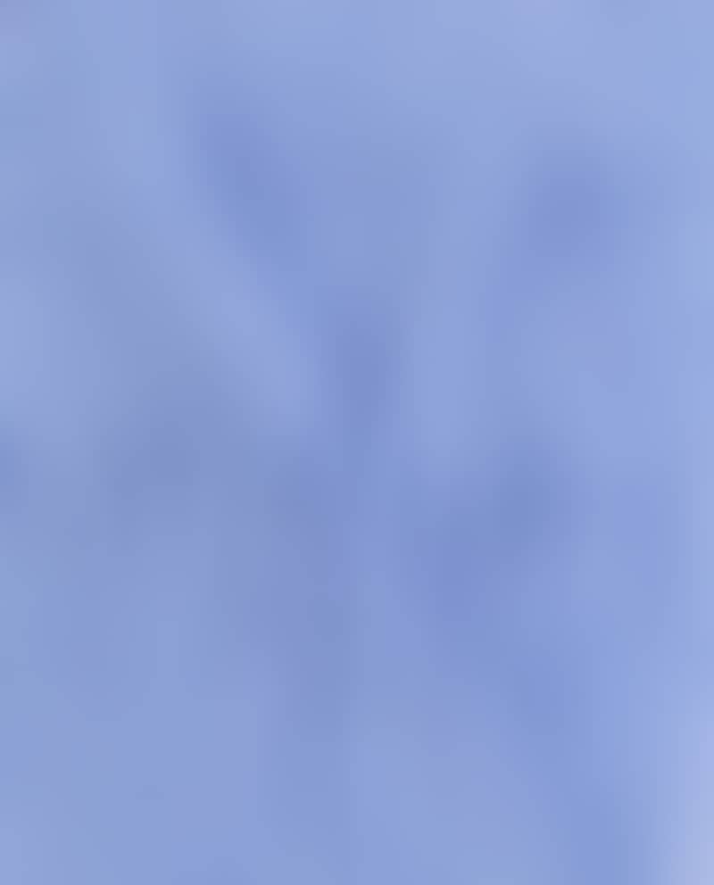 BLEU LAVANDE