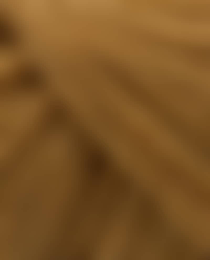 Image de la variation
