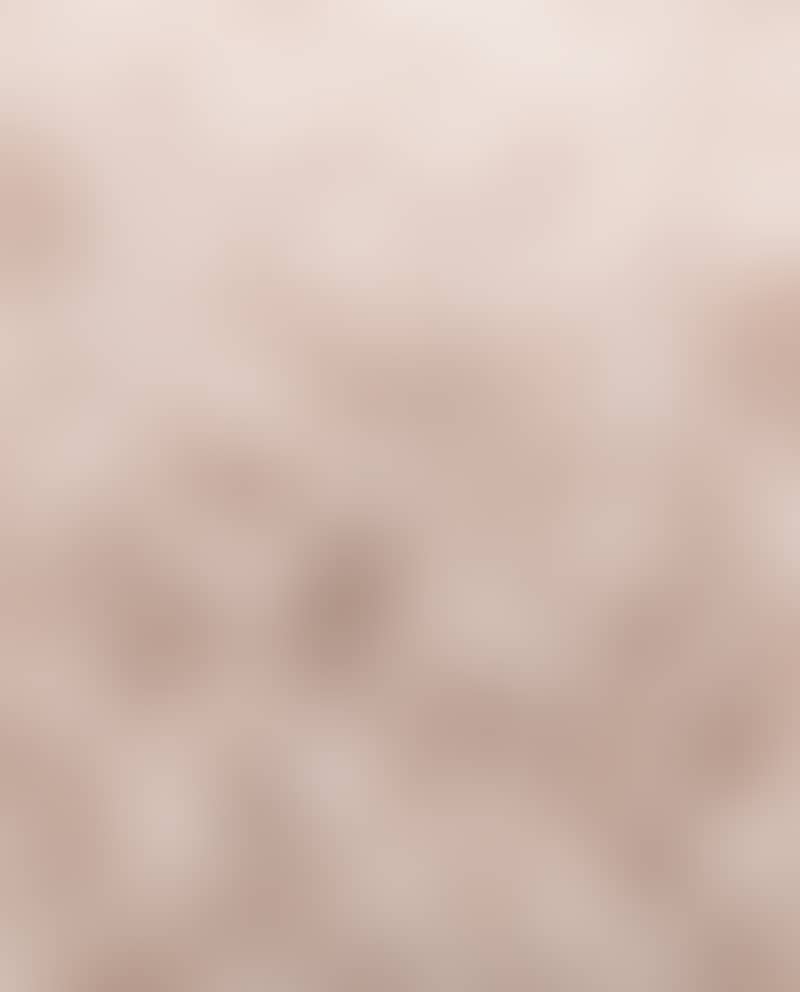 Image de la variation