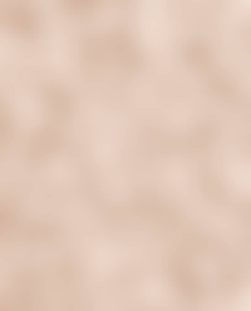 Image de la variation