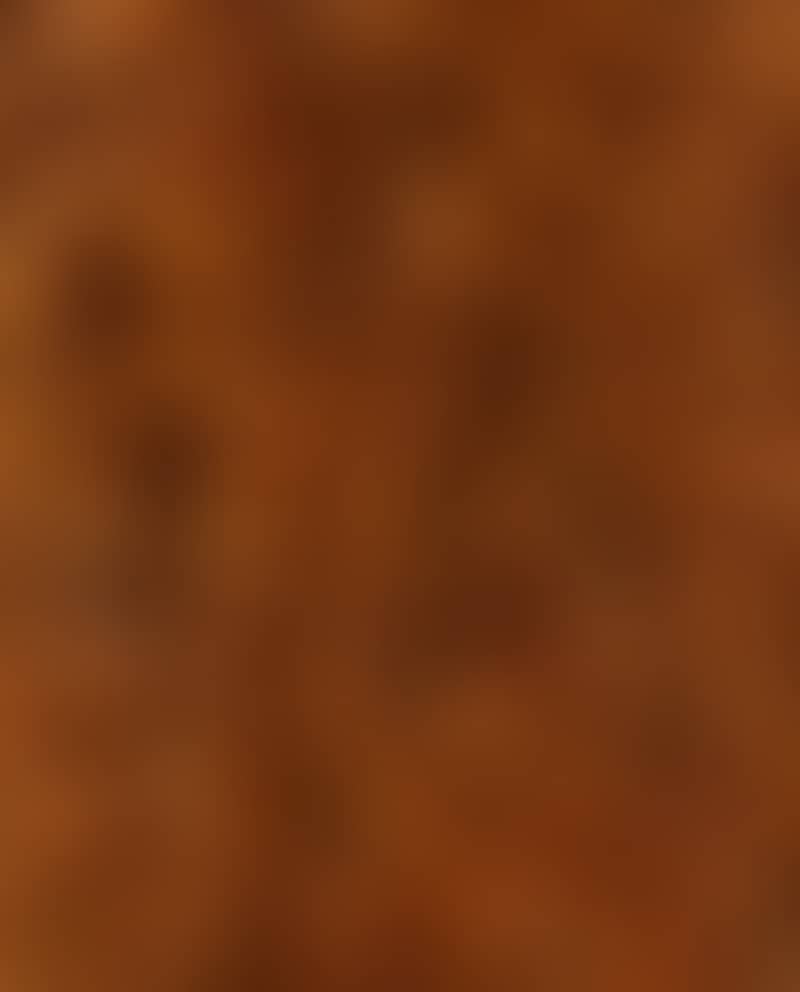 AMBRE