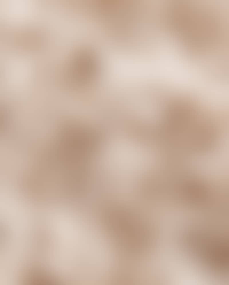 Image de la variation