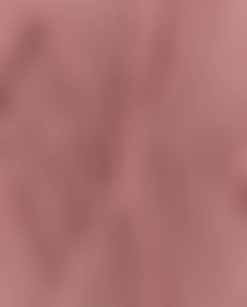 Image de la variation