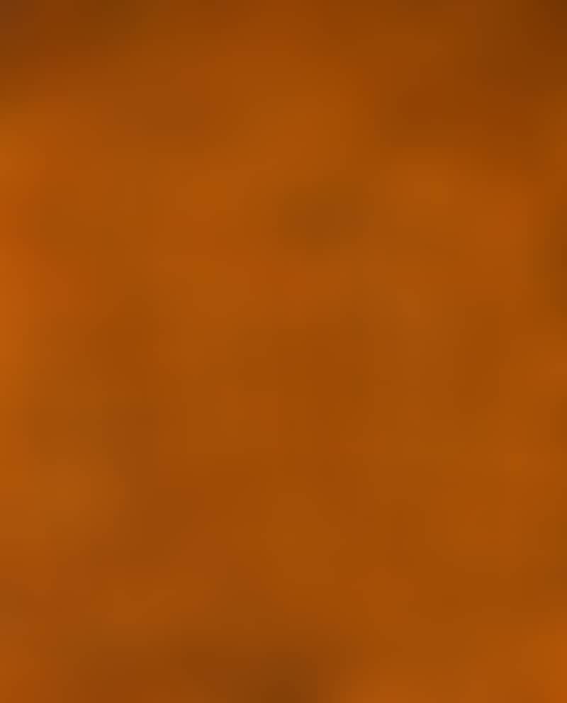Image de la variation