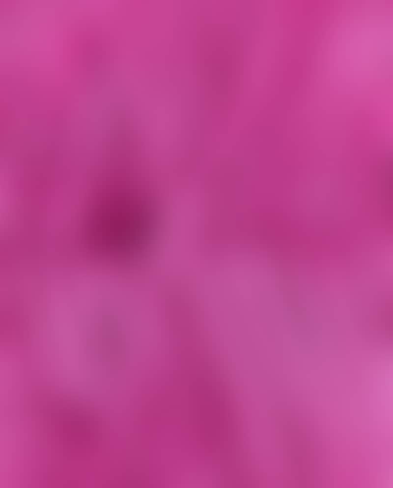 Image de la variation