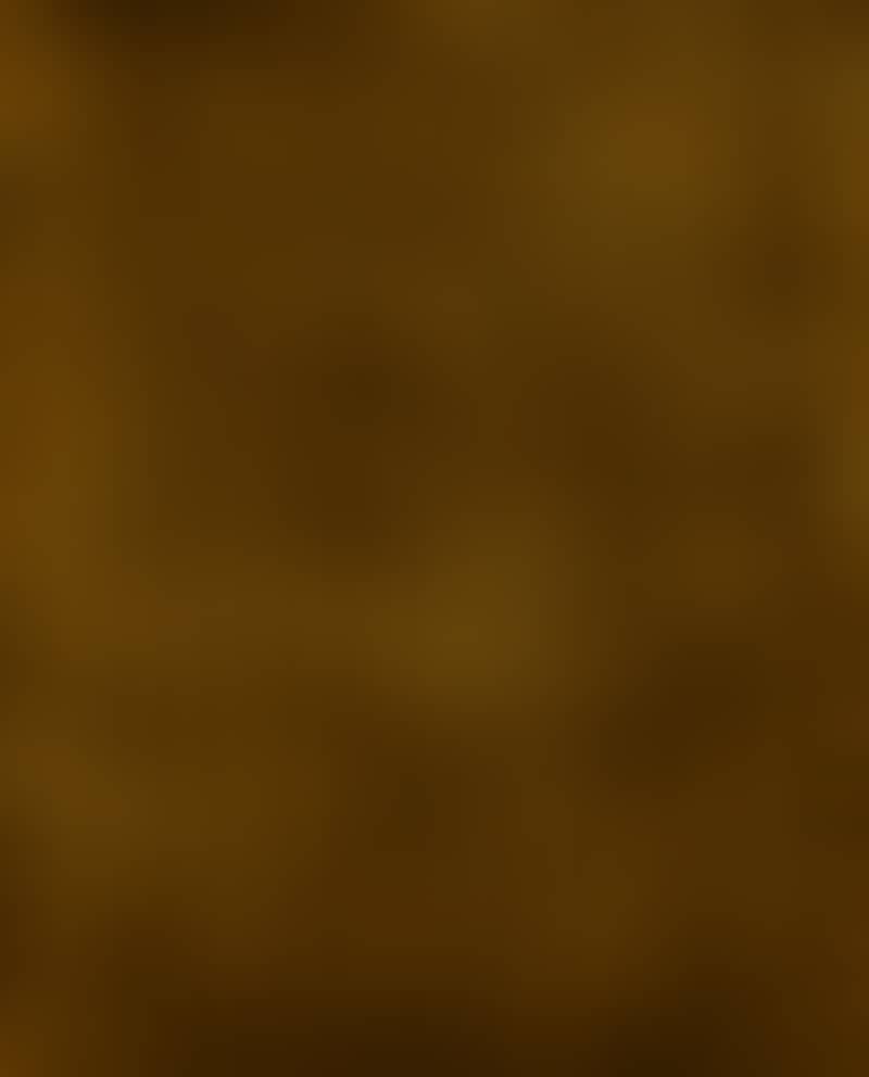 Image de la variation