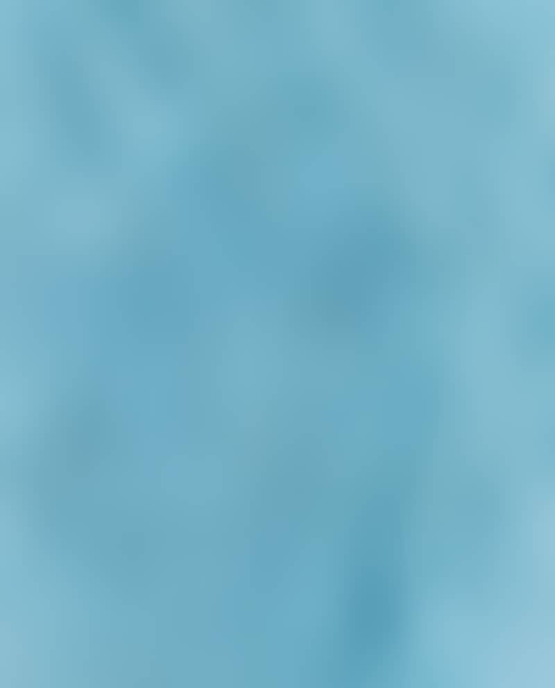 BLEU CLAIR