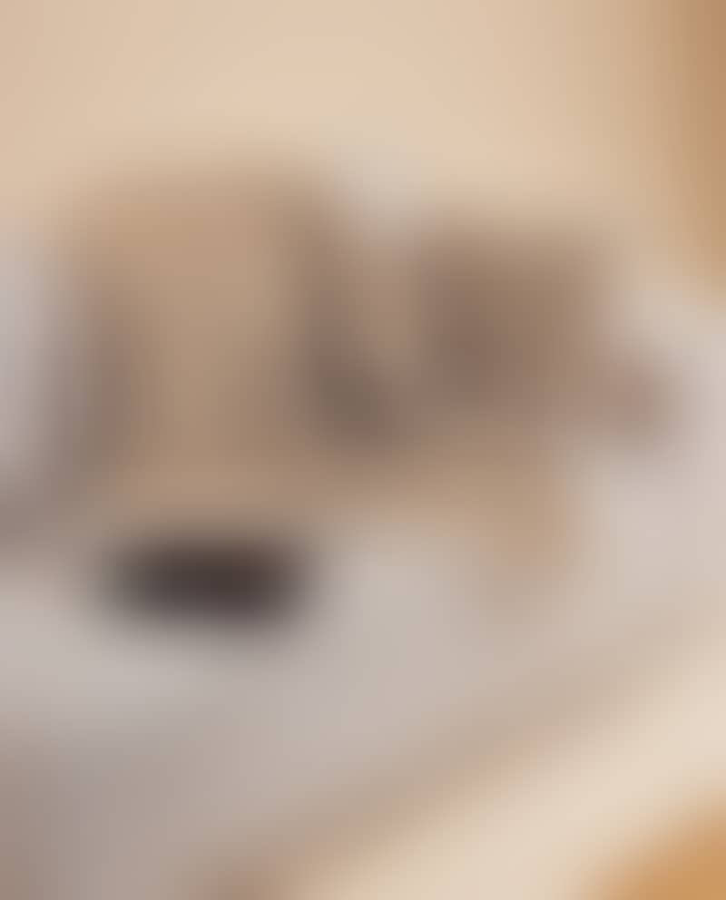 Image de la variation