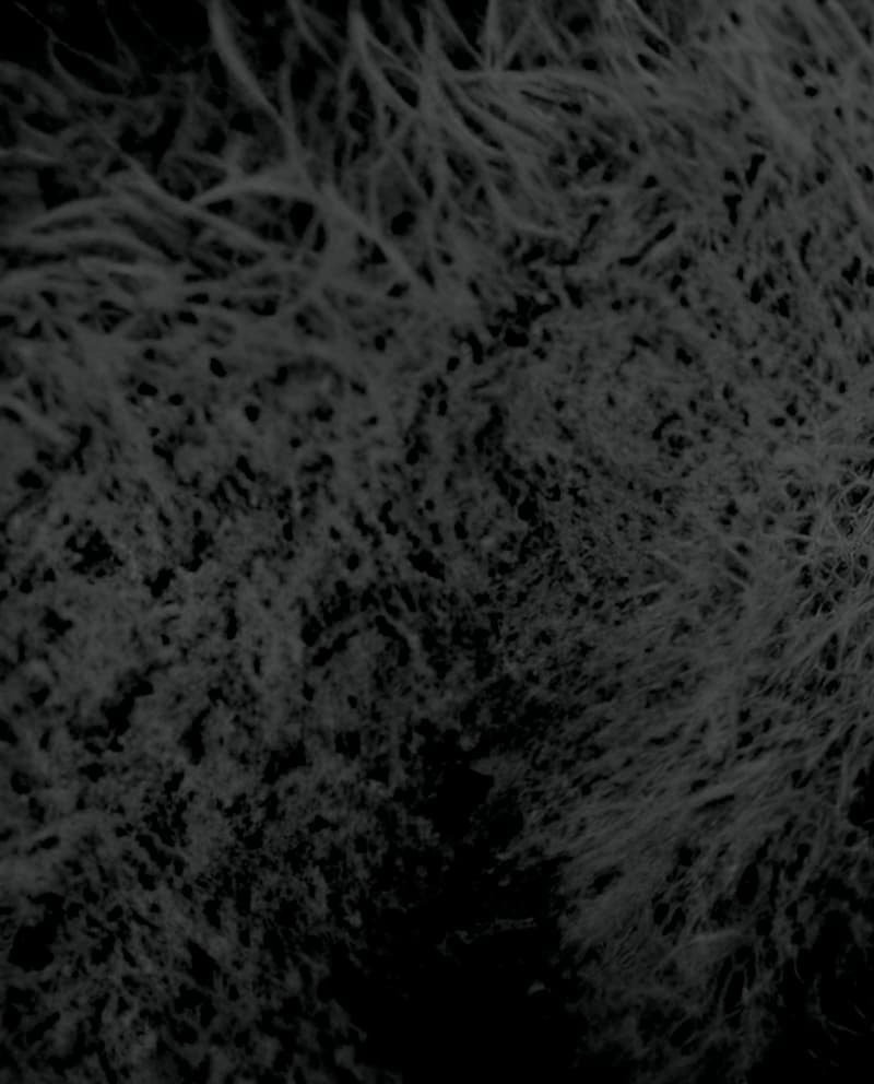 Image de la variation