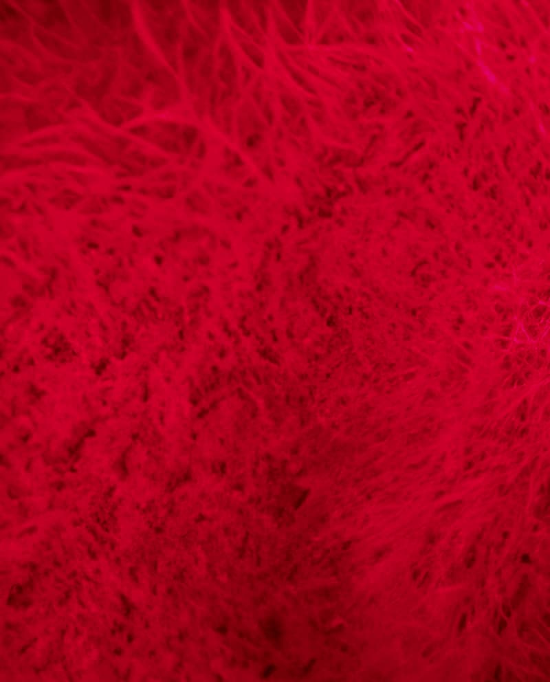 Image de la variation