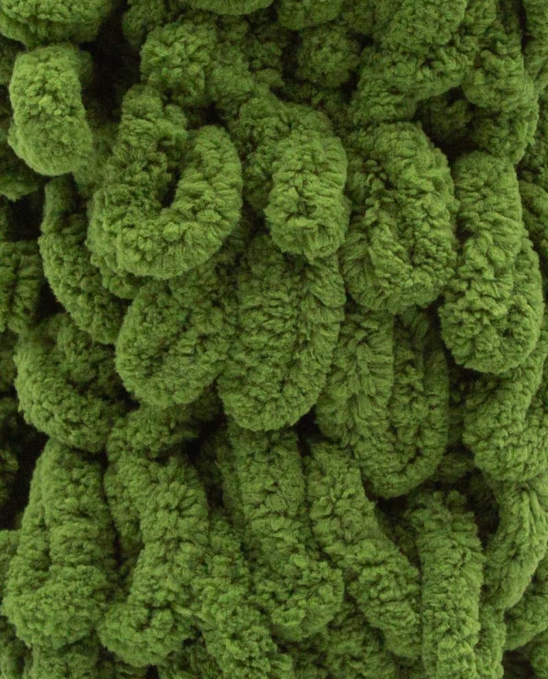 Image de la variation