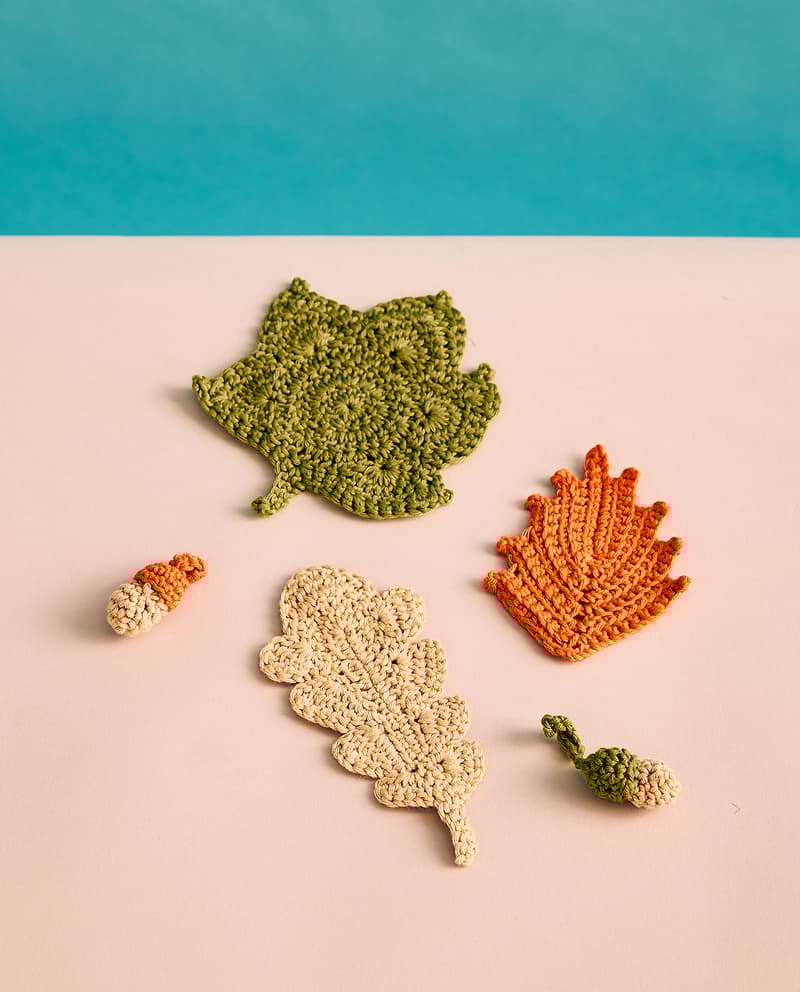 Image de la variation