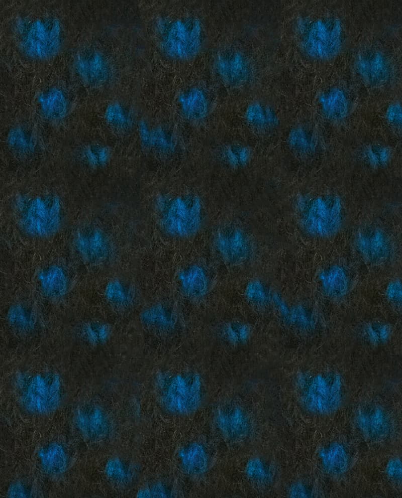 Image de la variation