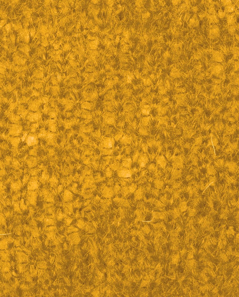 Image de la variation
