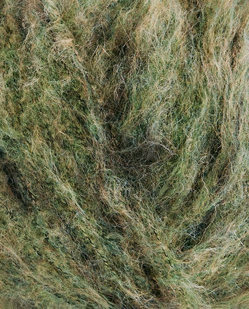 Image de la variation