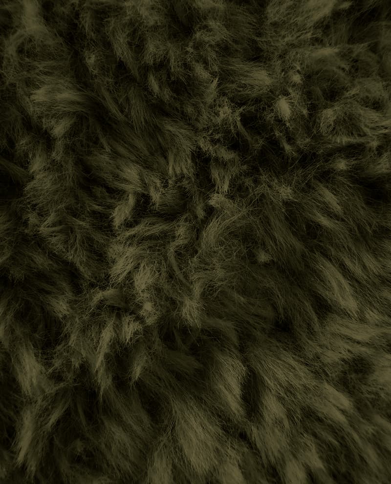 Image de la variation