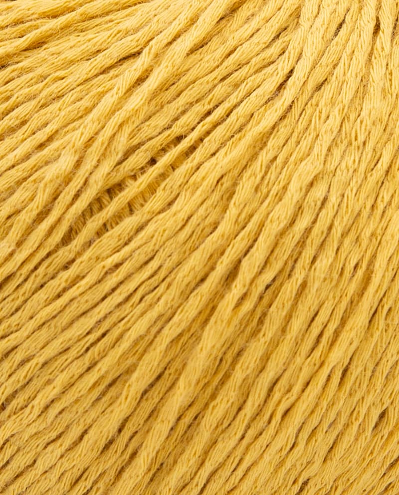 Image de la variation