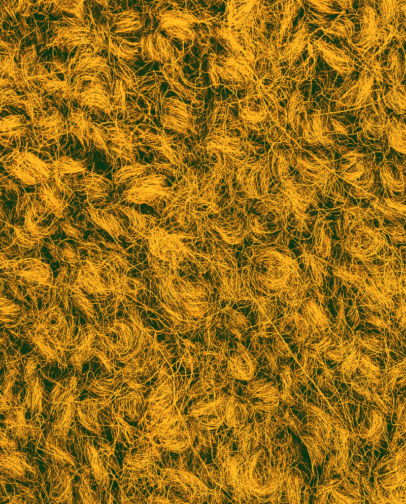 Image de la variation